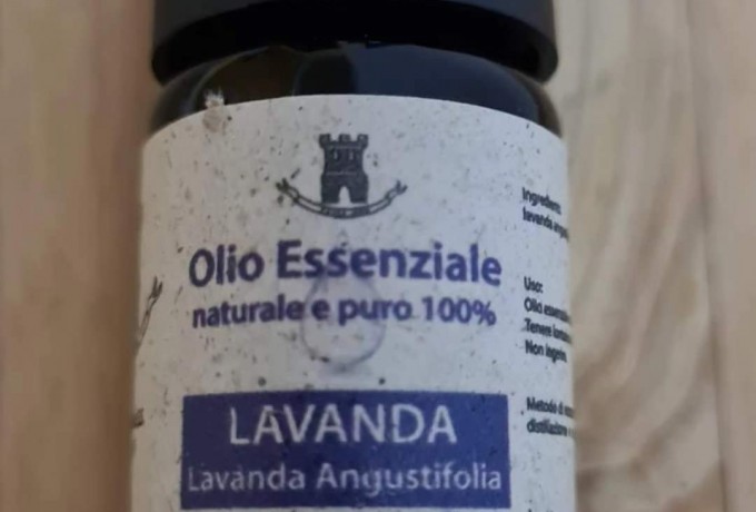 Lavanda